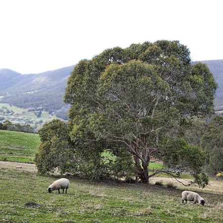 House On The Hill Bed And Breakfast Huonville Eksteriør billede